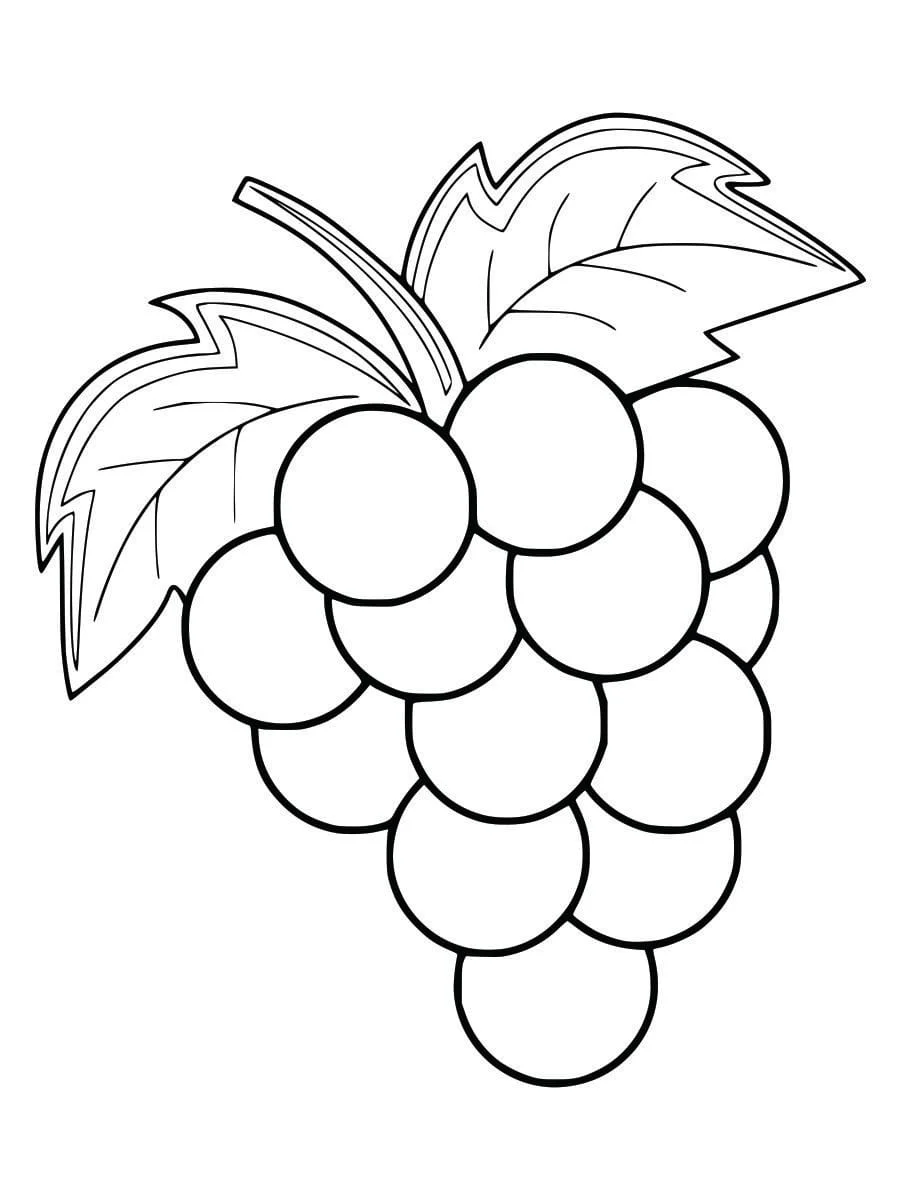 Coloring Pages for Kids (37)