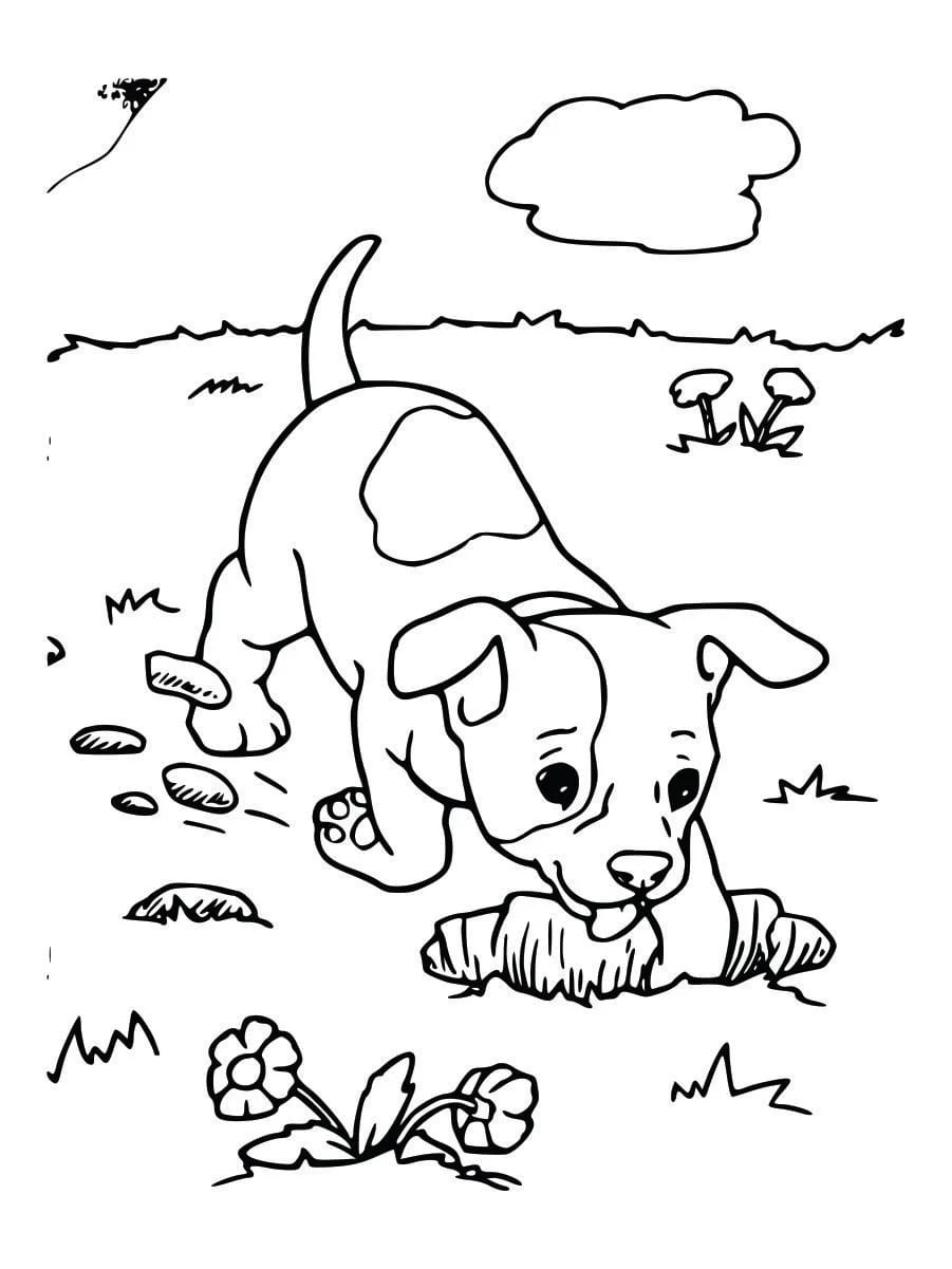 Coloring Pages for Kids (38)