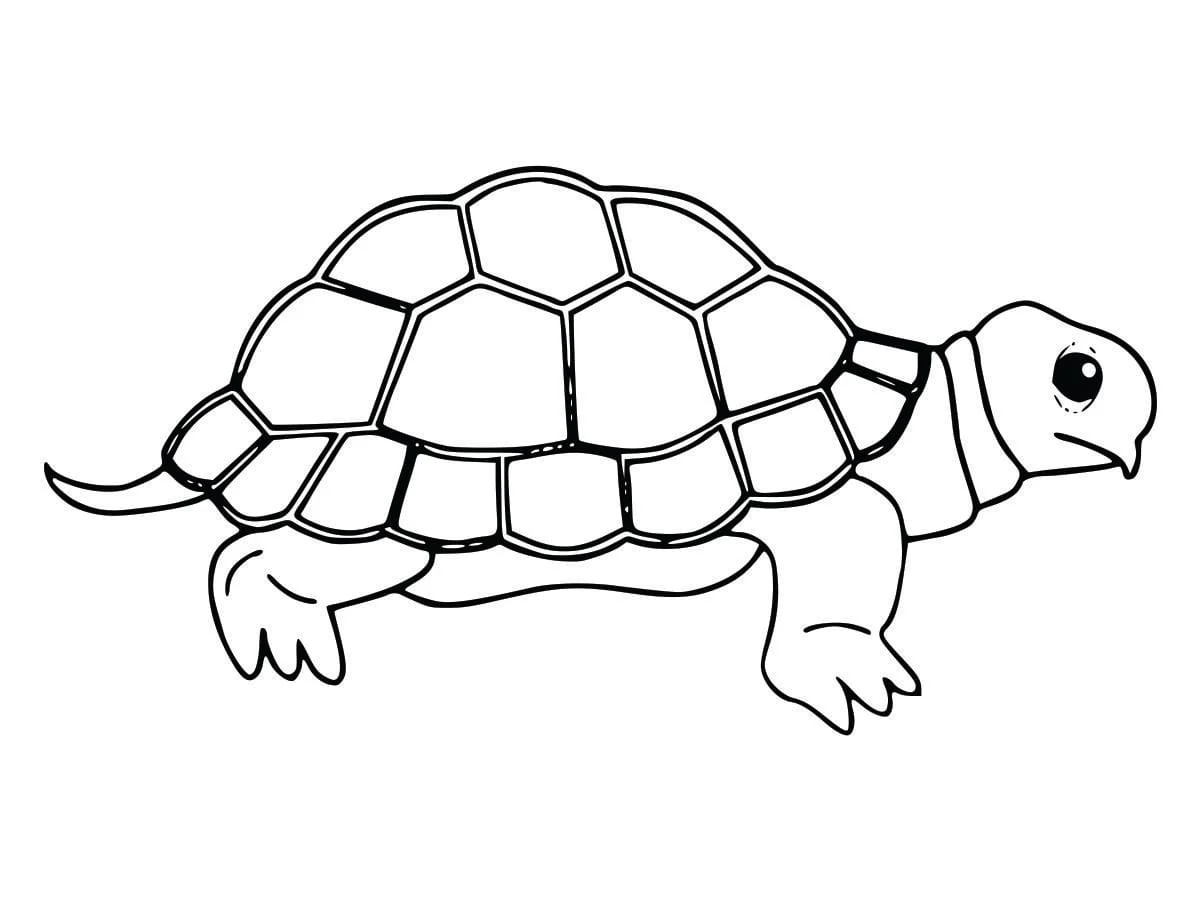 Coloring Pages for Kids (4)