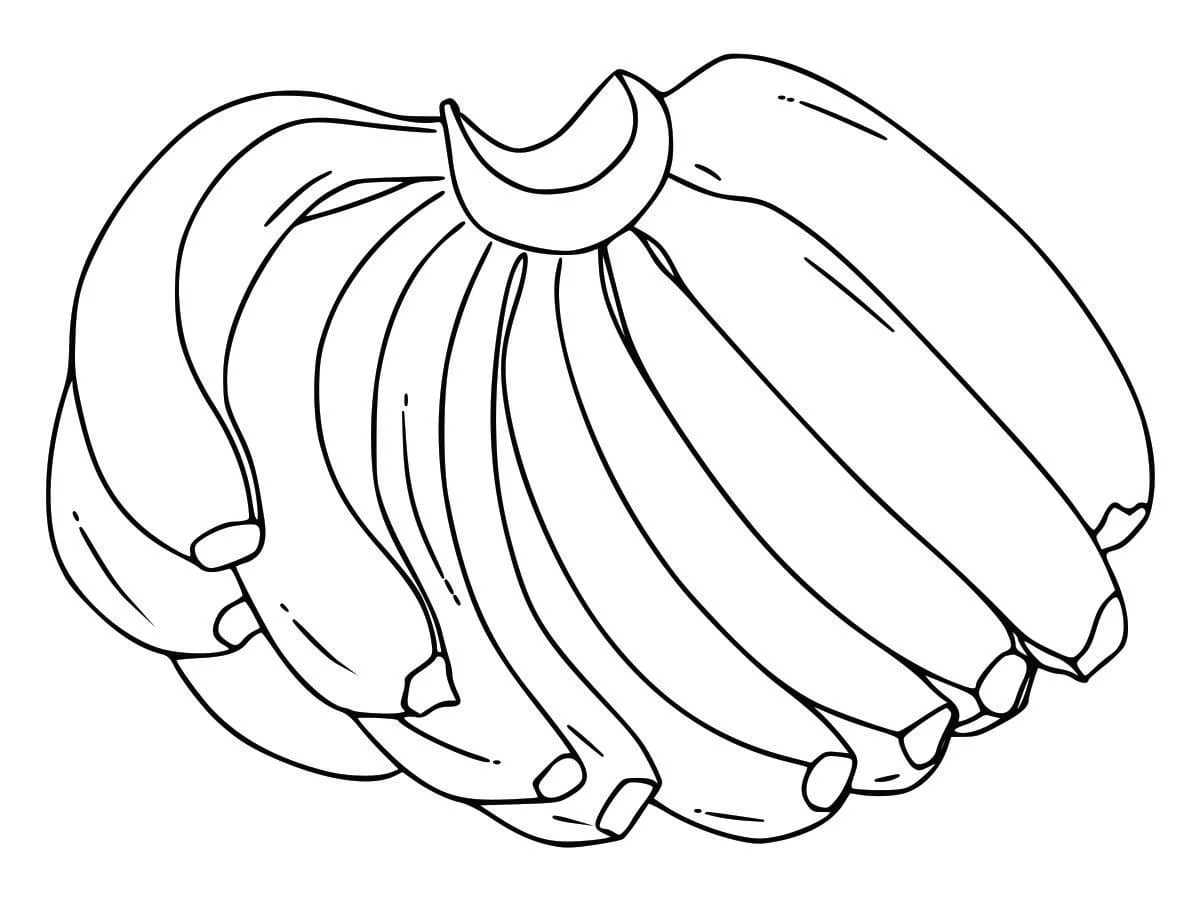 Coloring Pages for Kids (47)