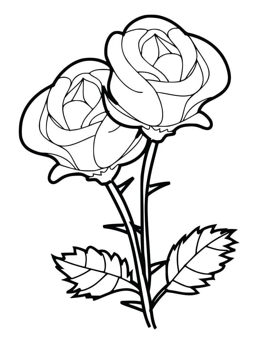 Coloring Pages for Kids (50)