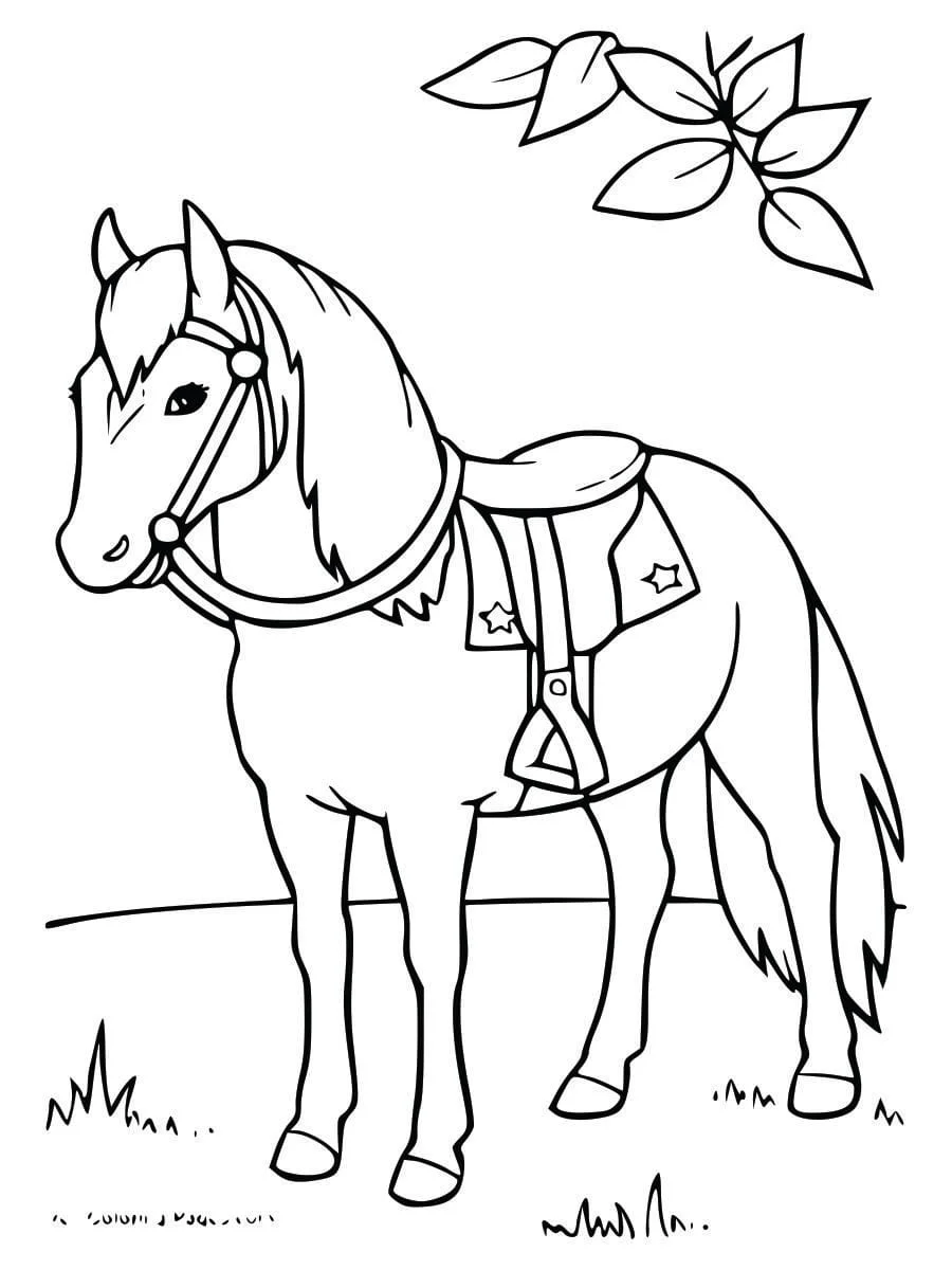 Coloring Pages for Kids (53)