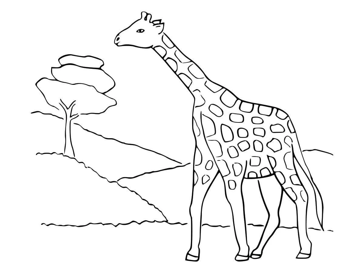 Coloring Pages for Kids (55)