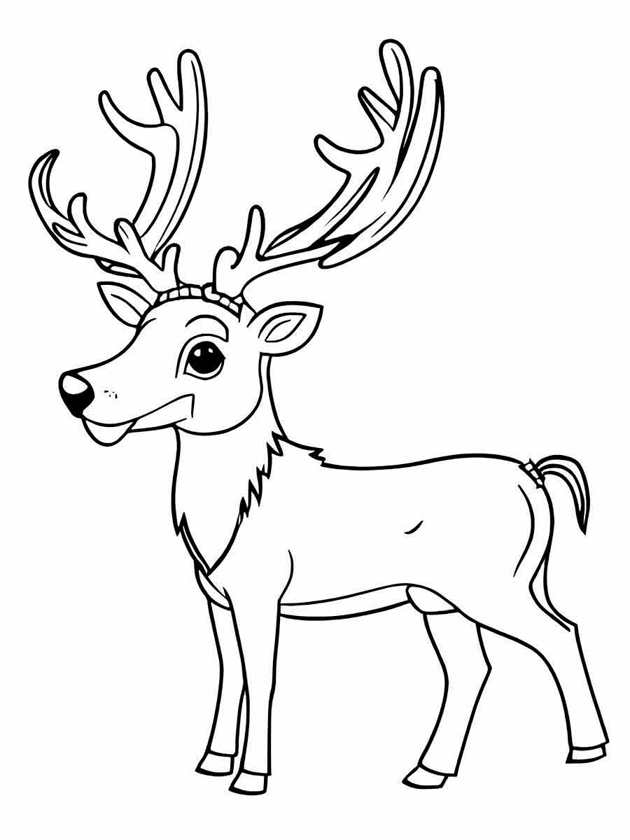 Coloring Pages for Kids (7)