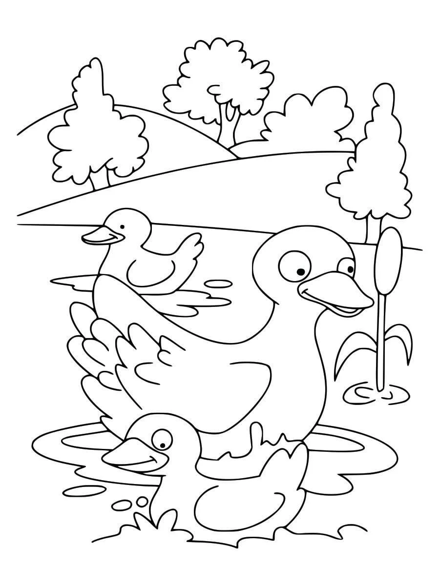 Coloring Pages for Kids (76)