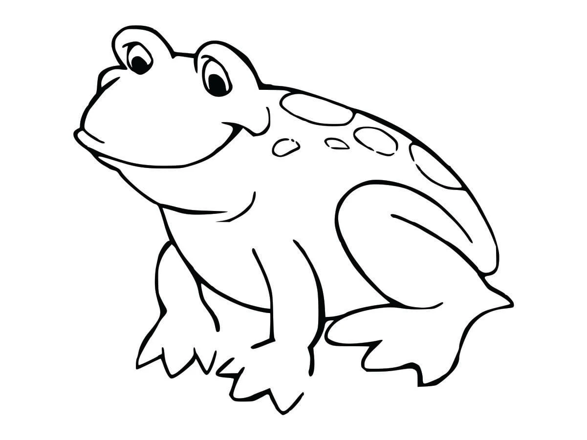 Coloring Pages for Kids (8)