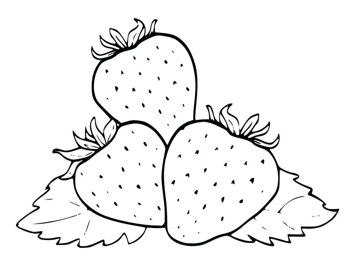 Coloring Pages for Kids (85)