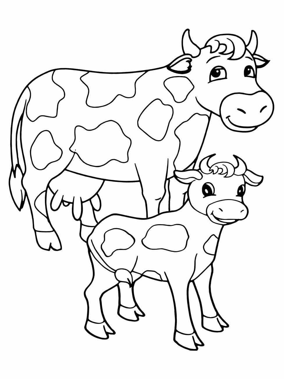 Cow coloring page (12)