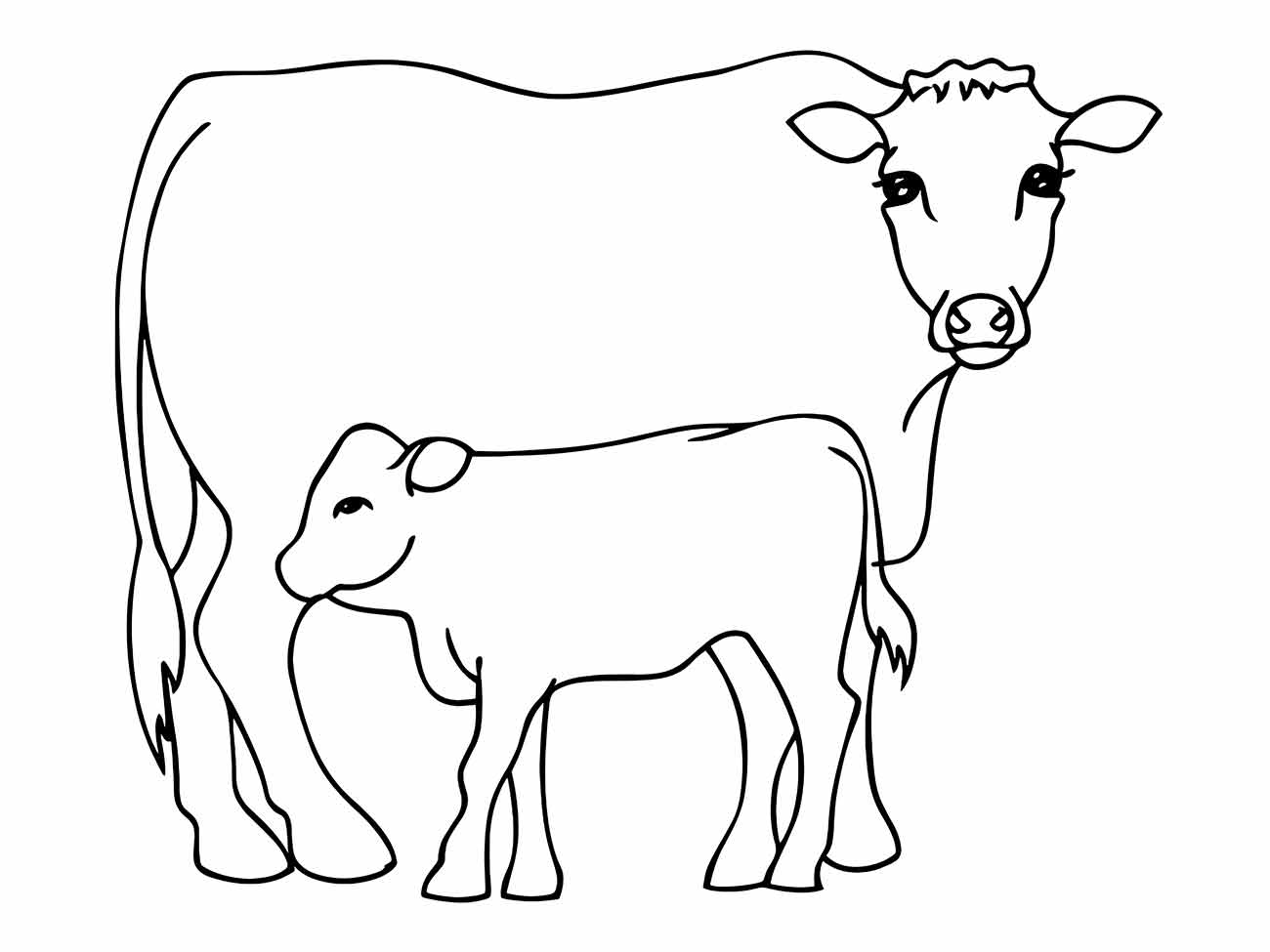 Cow coloring page (16)