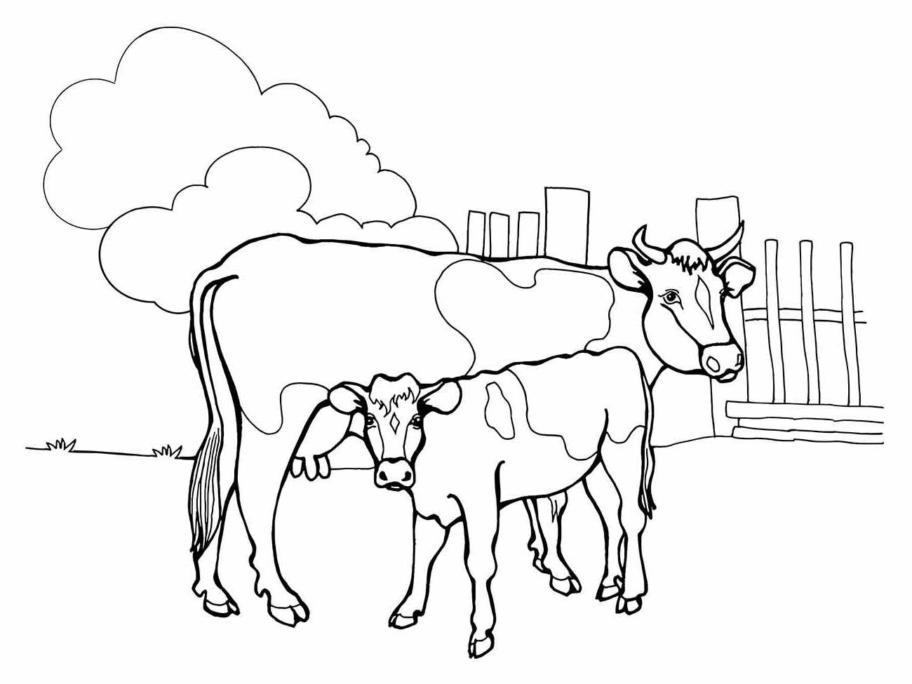 Cow coloring page (20)