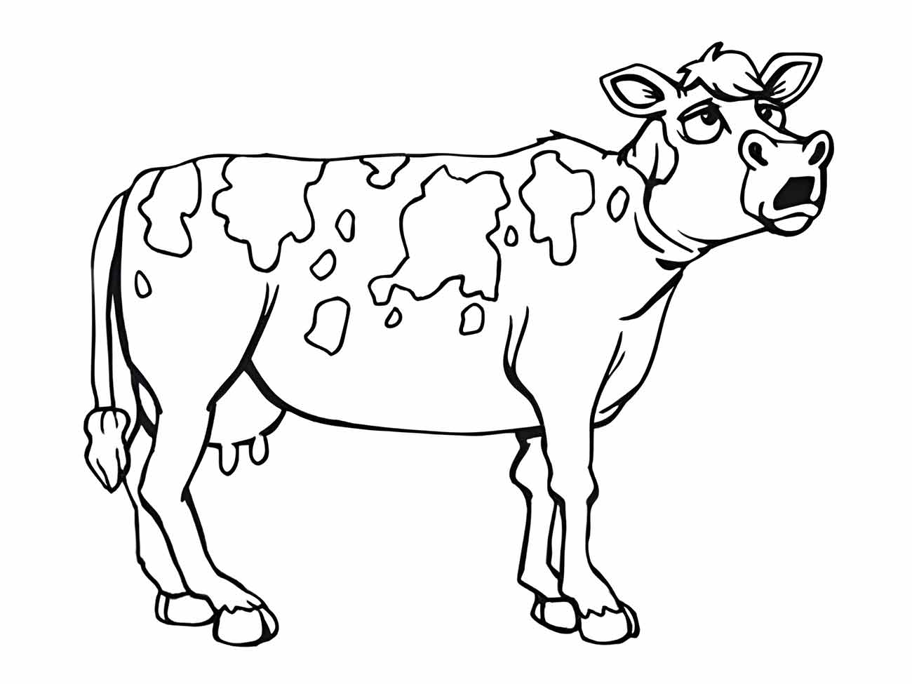 Cow coloring page (21)