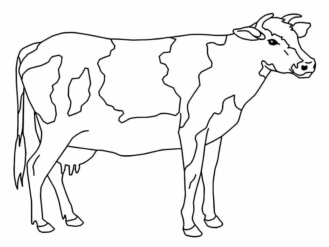 Cow coloring page (24)