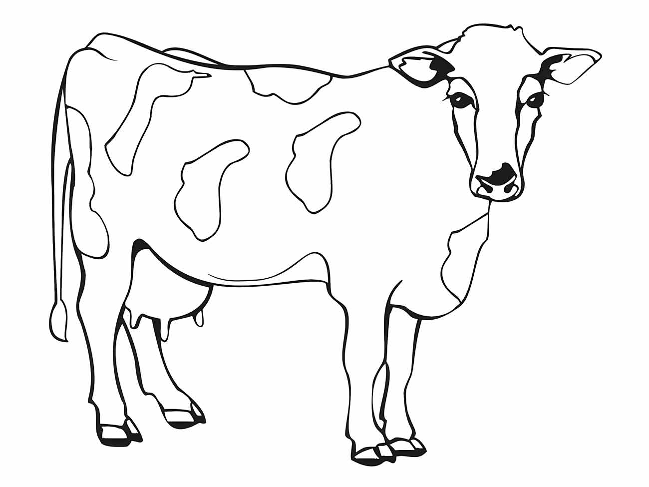 Cow coloring page (26)