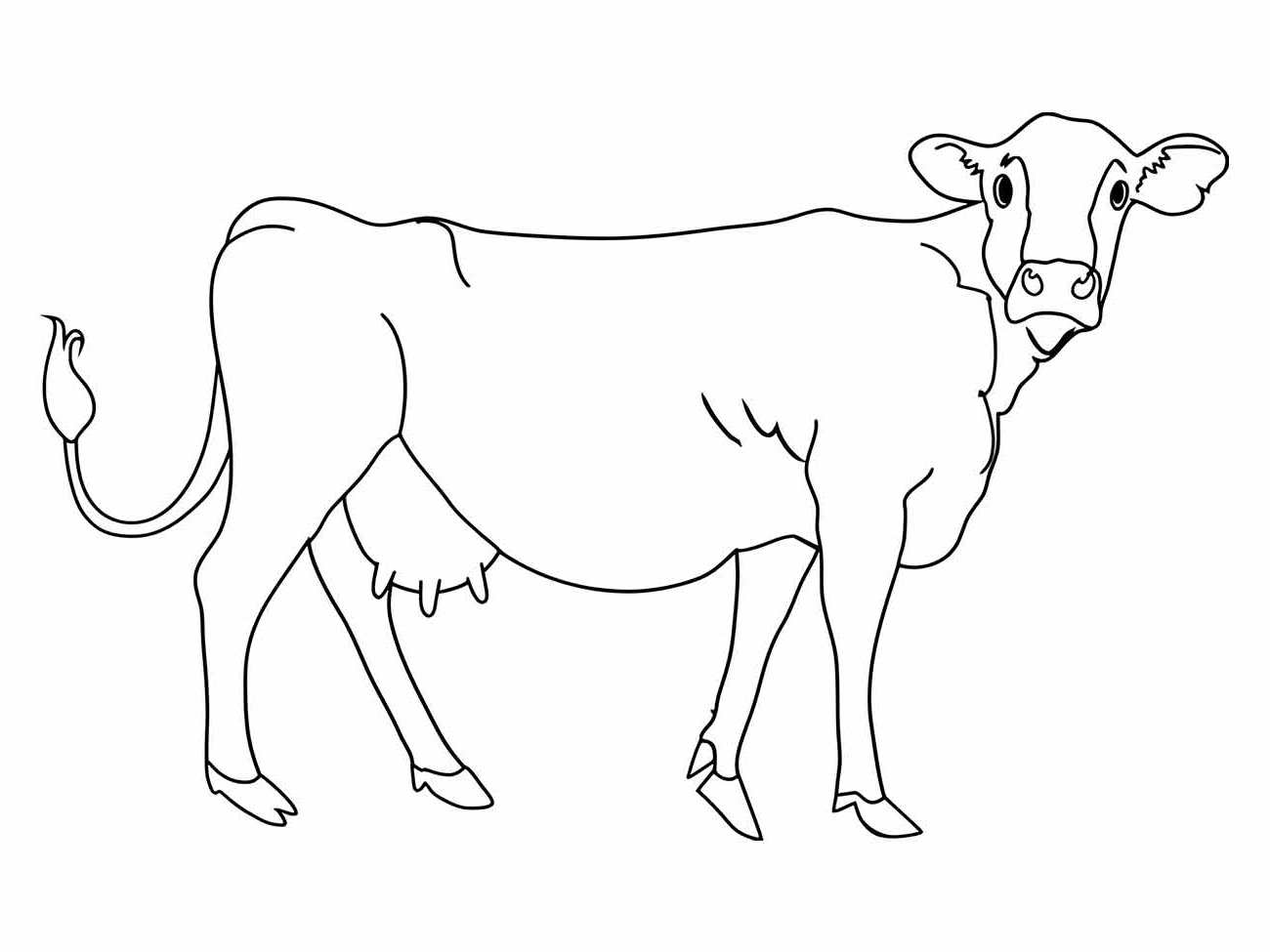 Cow coloring page (33)