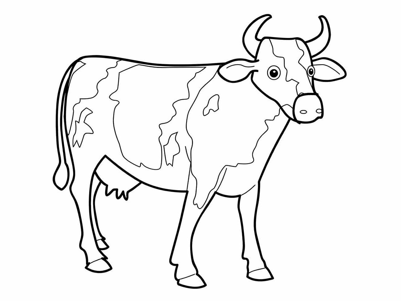 Cow coloring page (36)