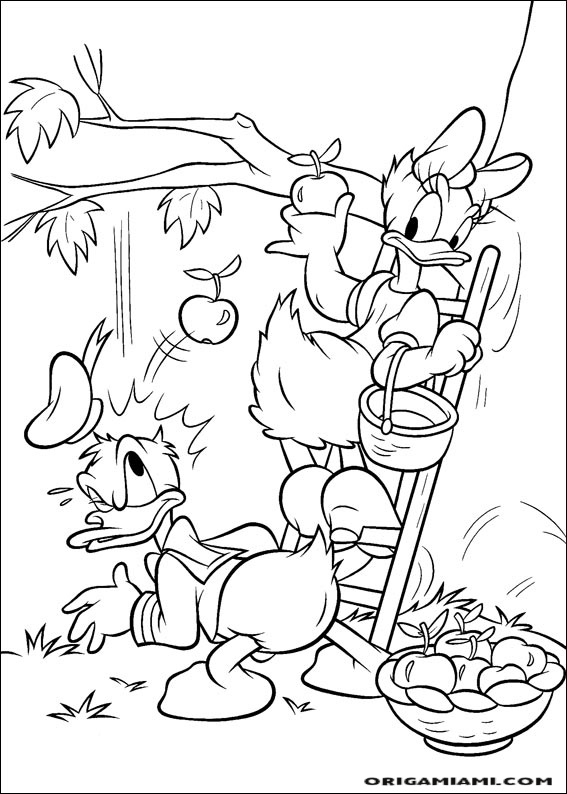 Donald duck coloring page (95)