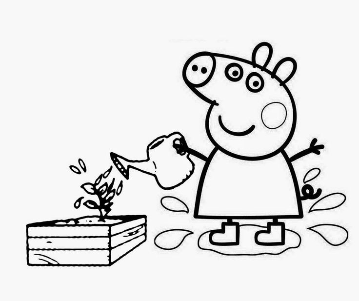 Peppa Pig coloring page (6)