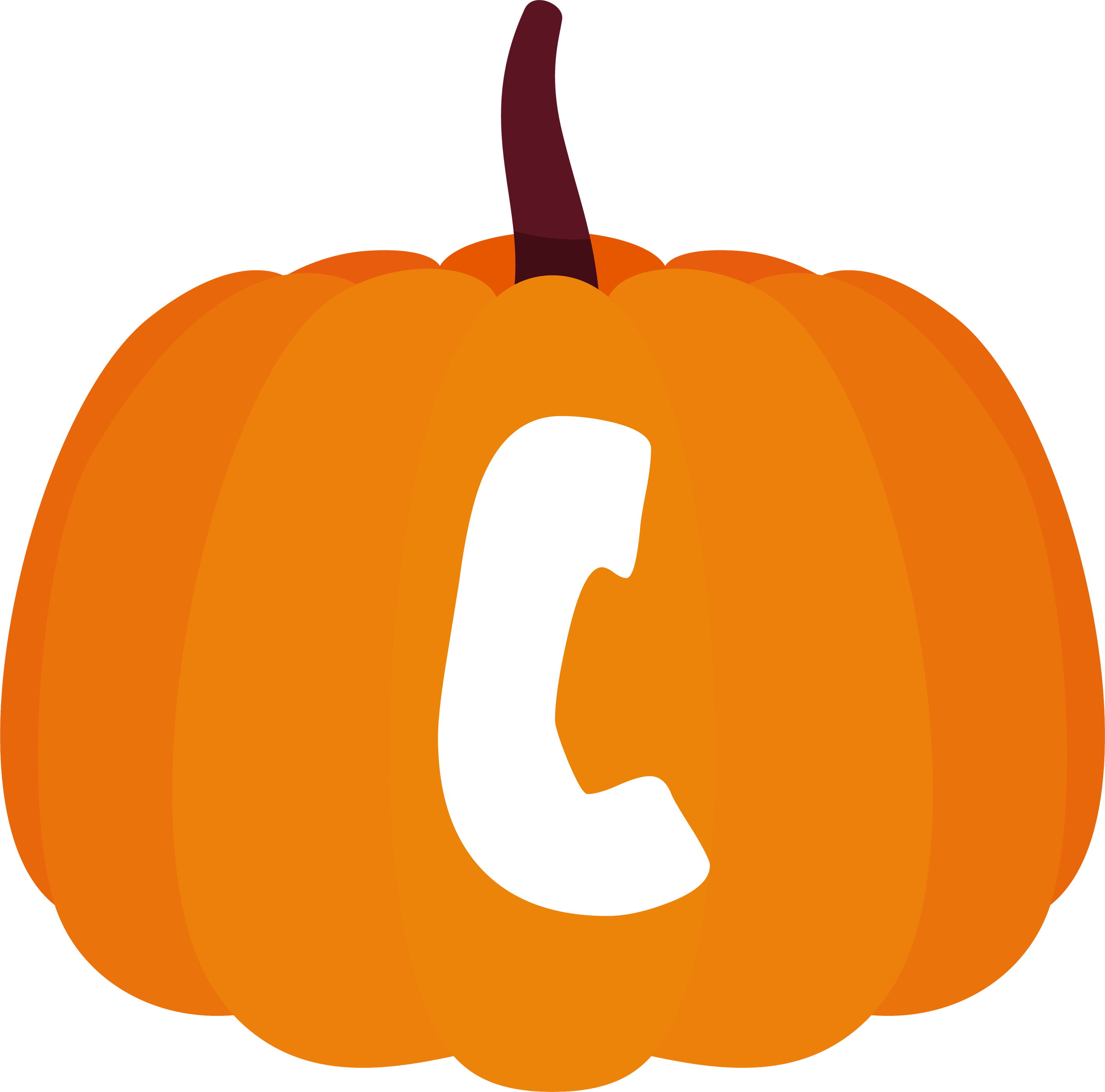 Pumpkin alphabet letter (3)