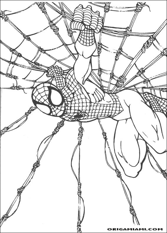 SpiderMan coloring page (45)