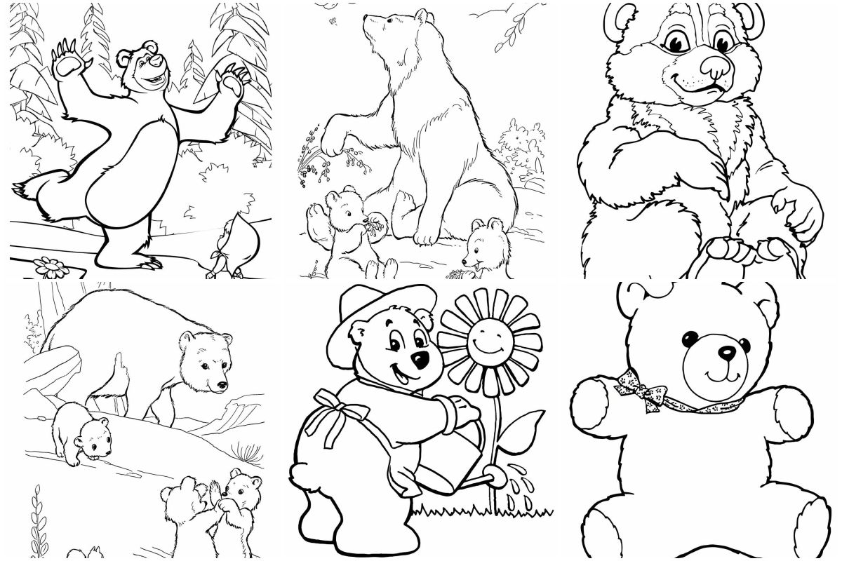 Bears coloring pages