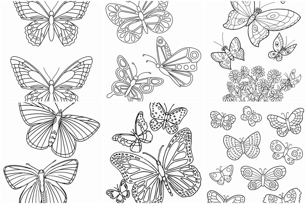 coloringpages Butterflies coloring pages