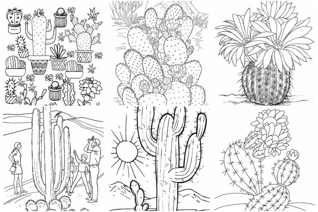 Cacti coloring pages