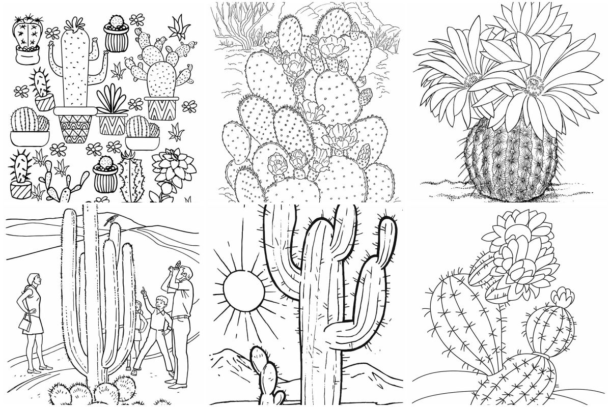 Cacti coloring pages