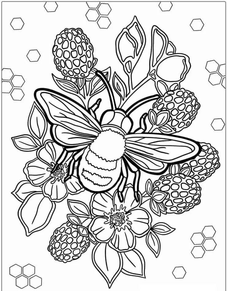 Bee coloring page (13)