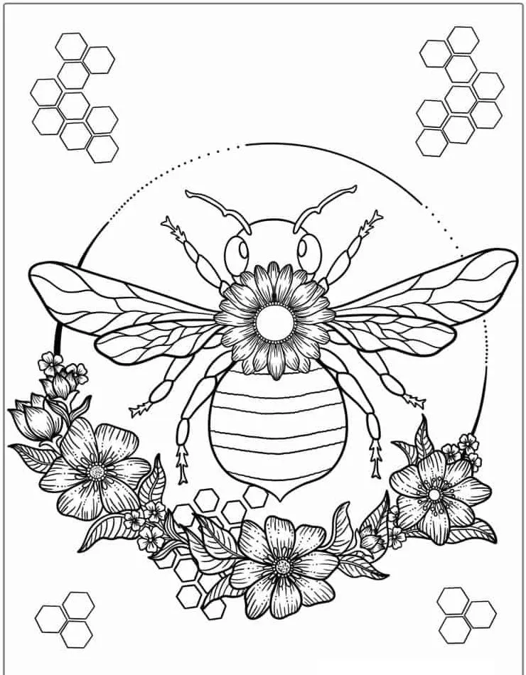 Bee coloring page (14)