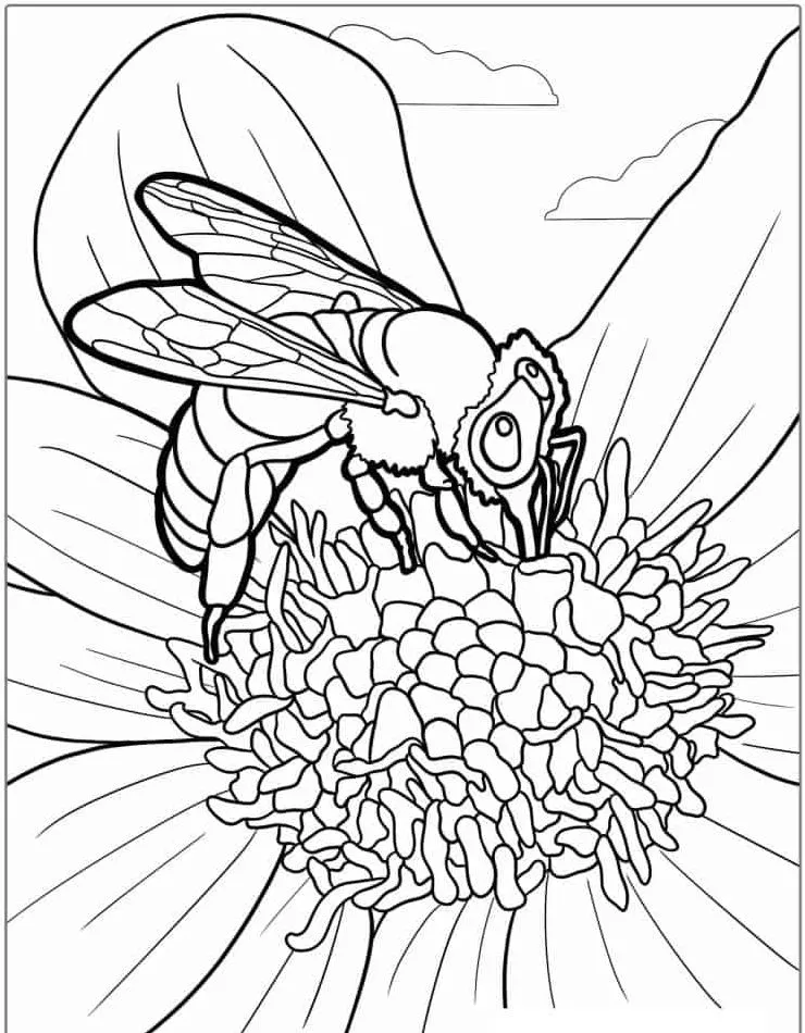 Bee coloring page (15)