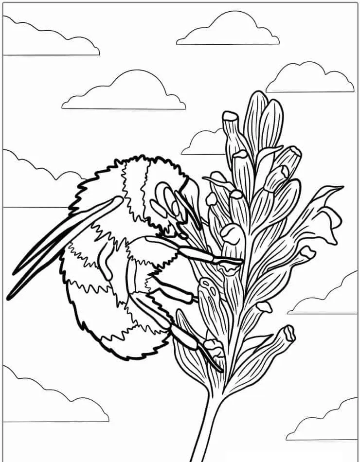 Bee coloring page (17)