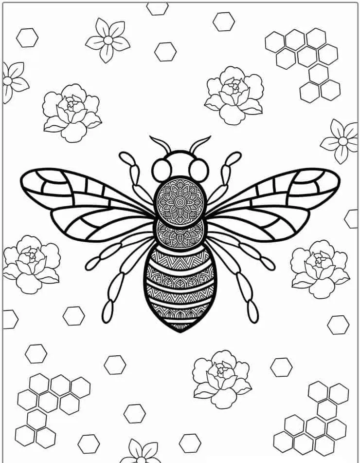 Bee coloring page (21)