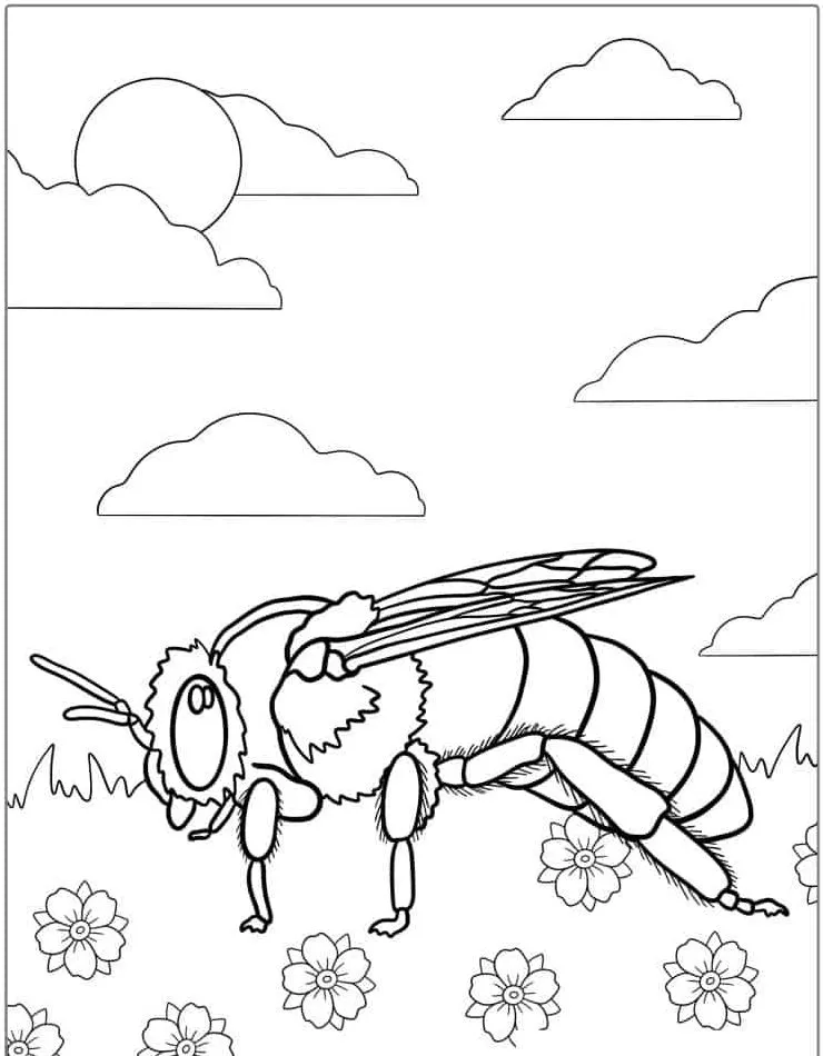 Bee coloring page (24)