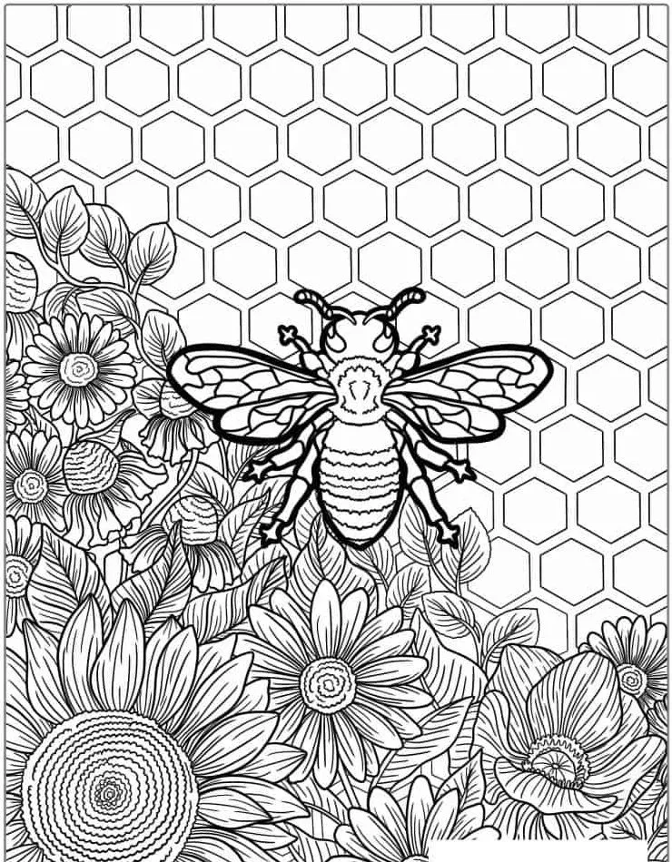 Bee coloring page (28)