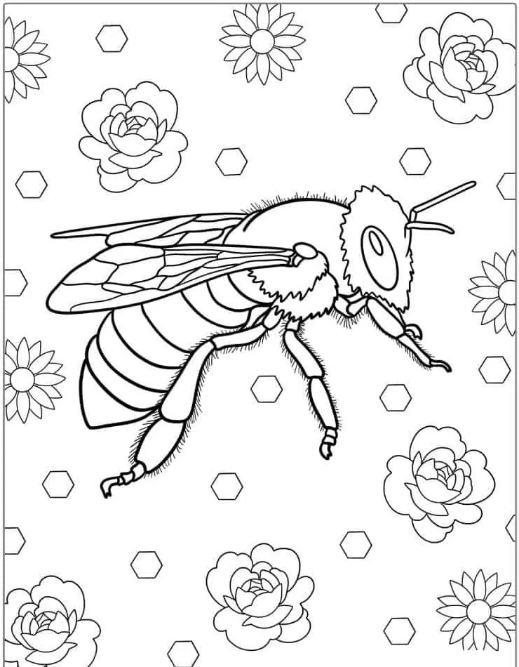 Bee coloring page (35)