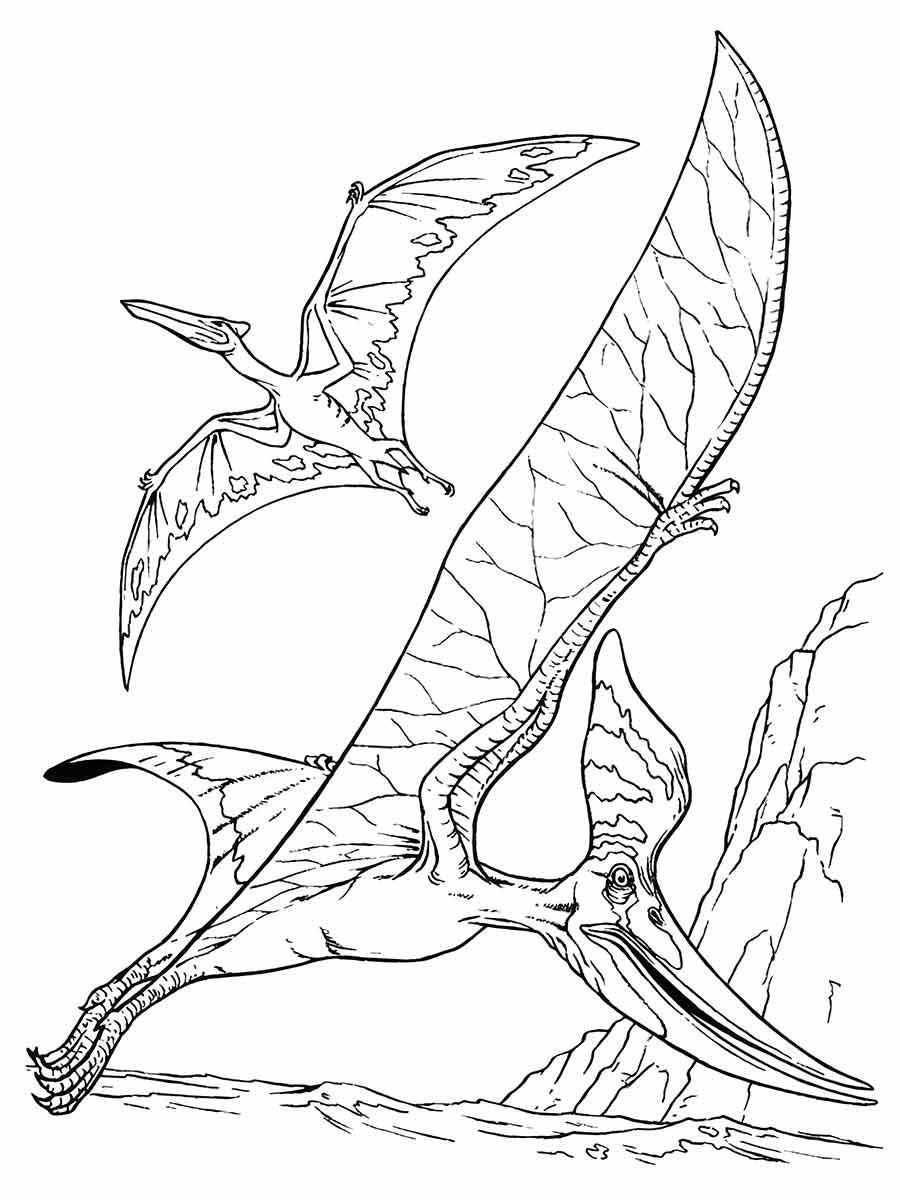 Dinossaurs coloring page (51)