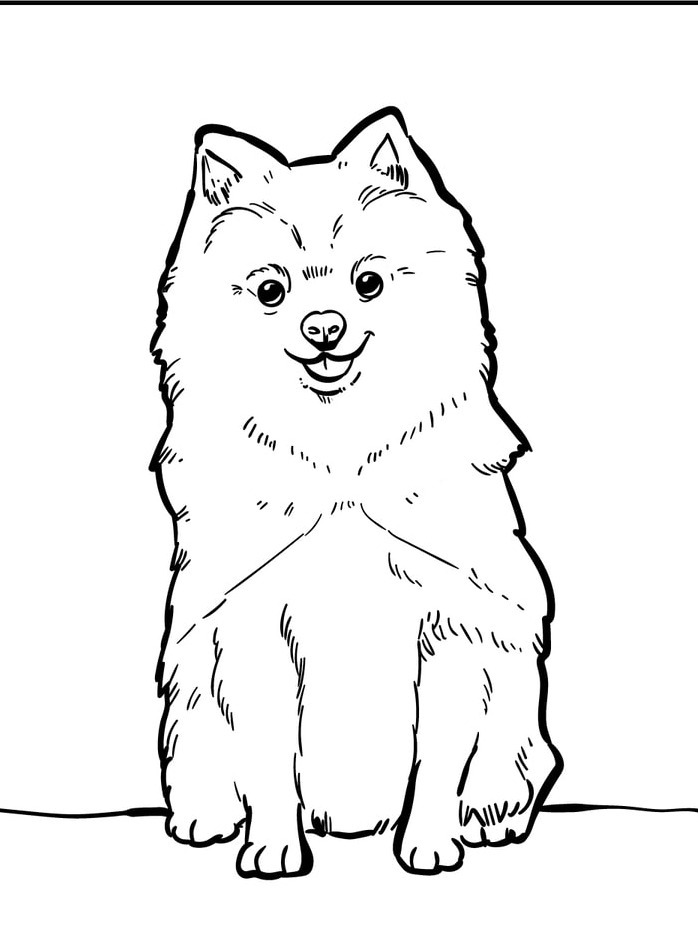 Dog Coloring page (19)