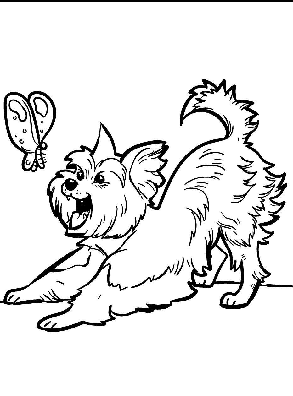 Dog Coloring page (21)