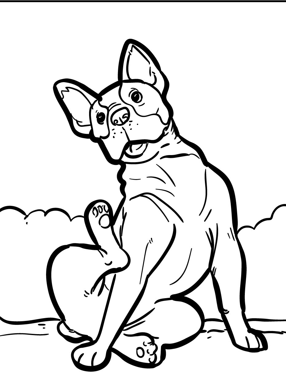 Dog Coloring page (23)