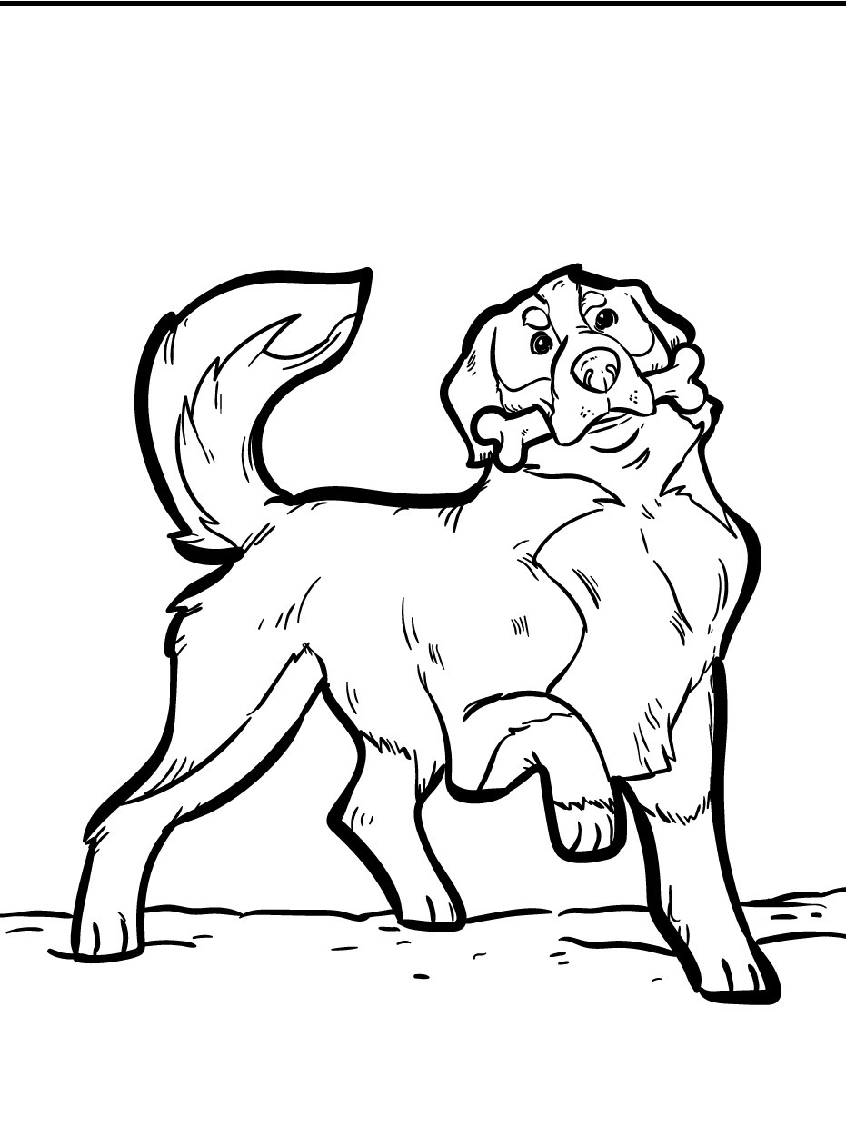 Dog Coloring page (24)