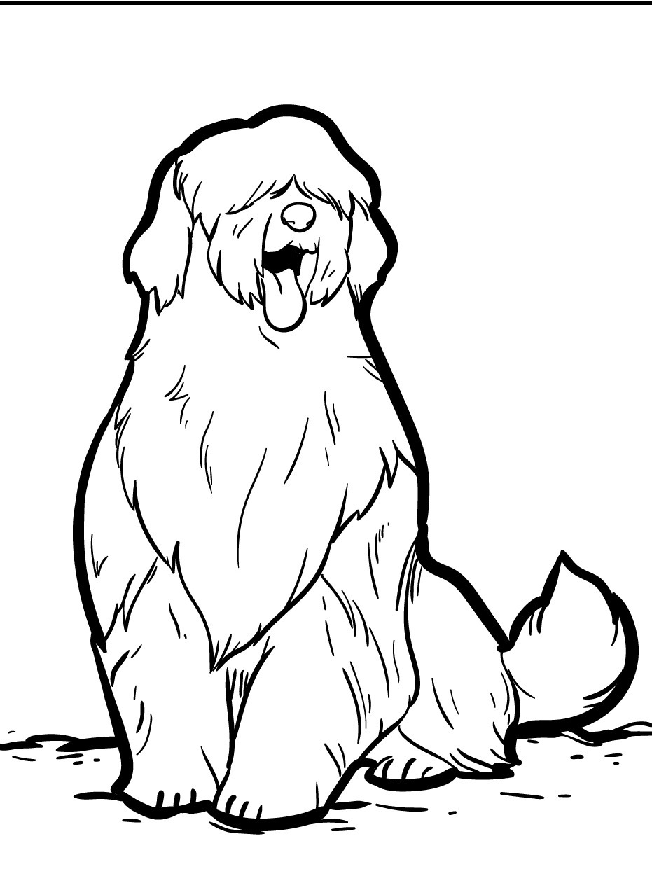 Dog Coloring page (27)