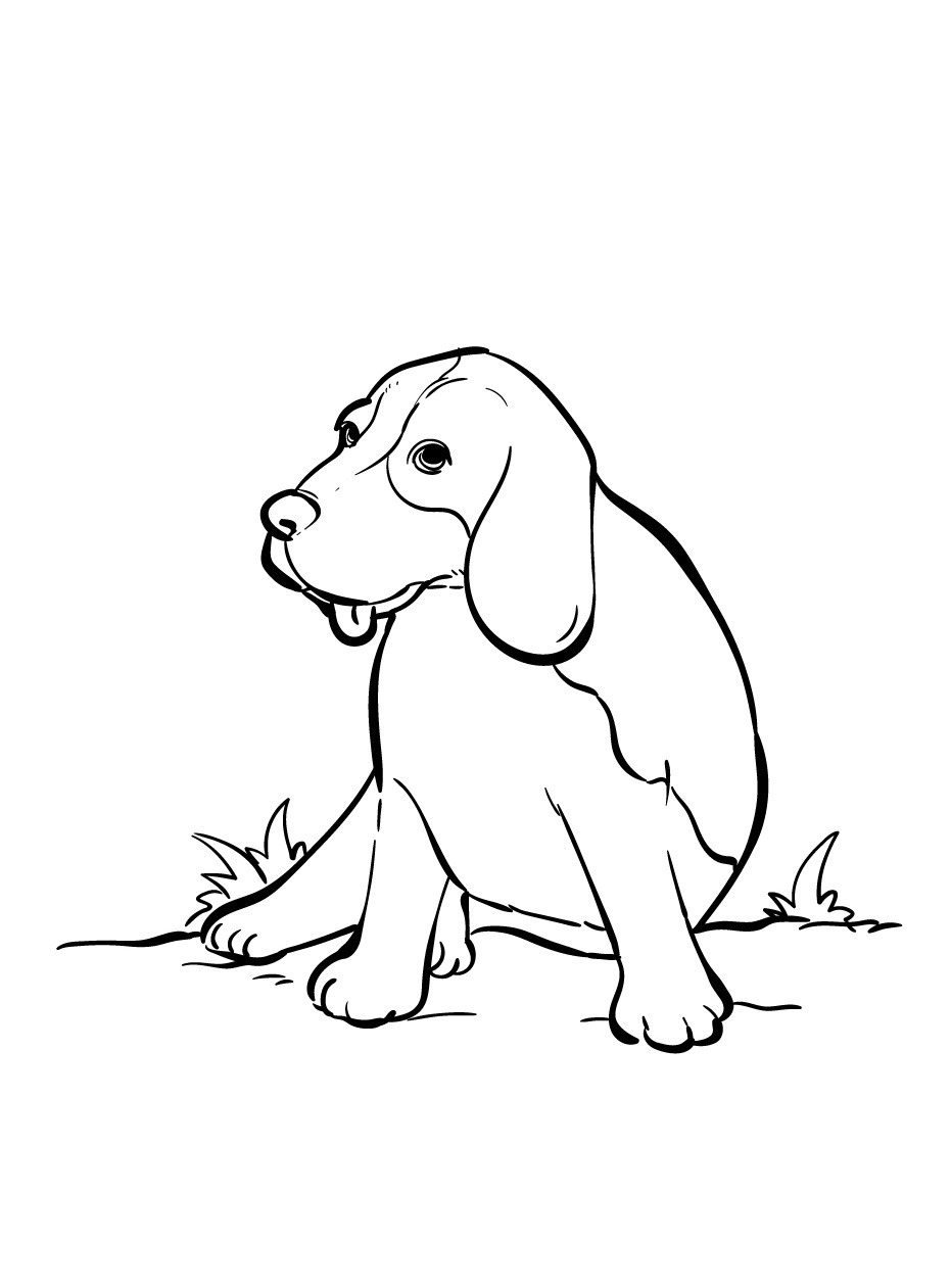 Dog Coloring page (28)