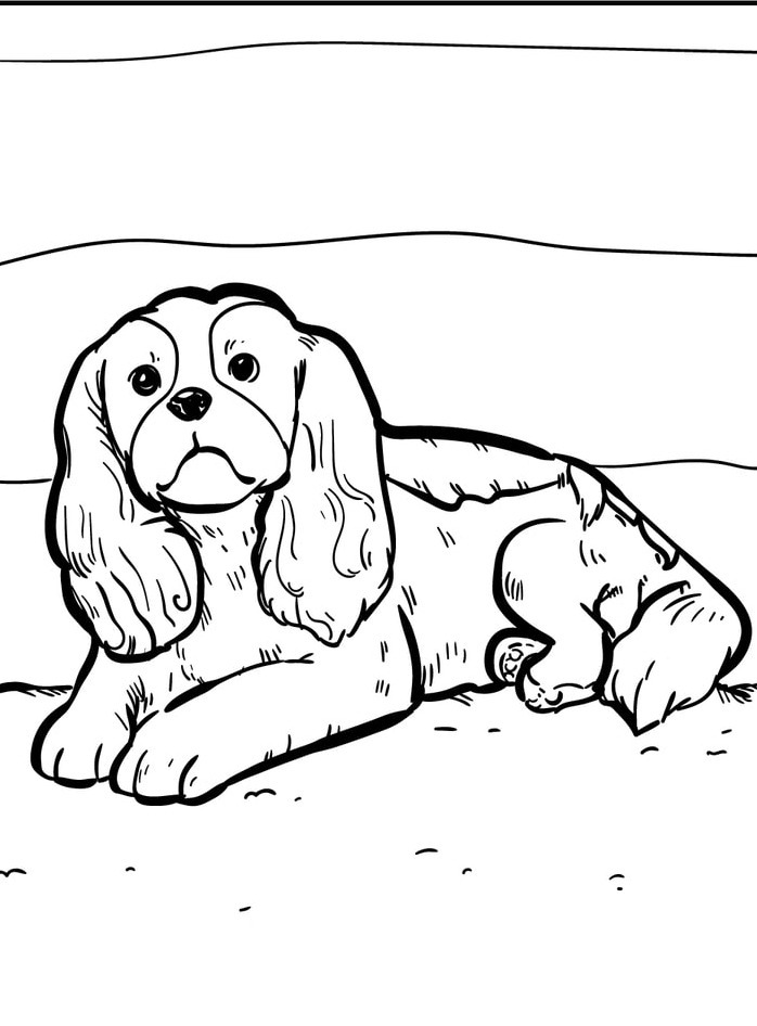 Dog Coloring page (32)