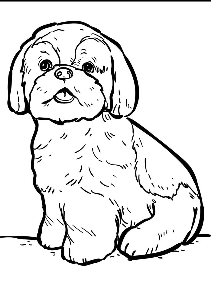 Dog Coloring page (33)