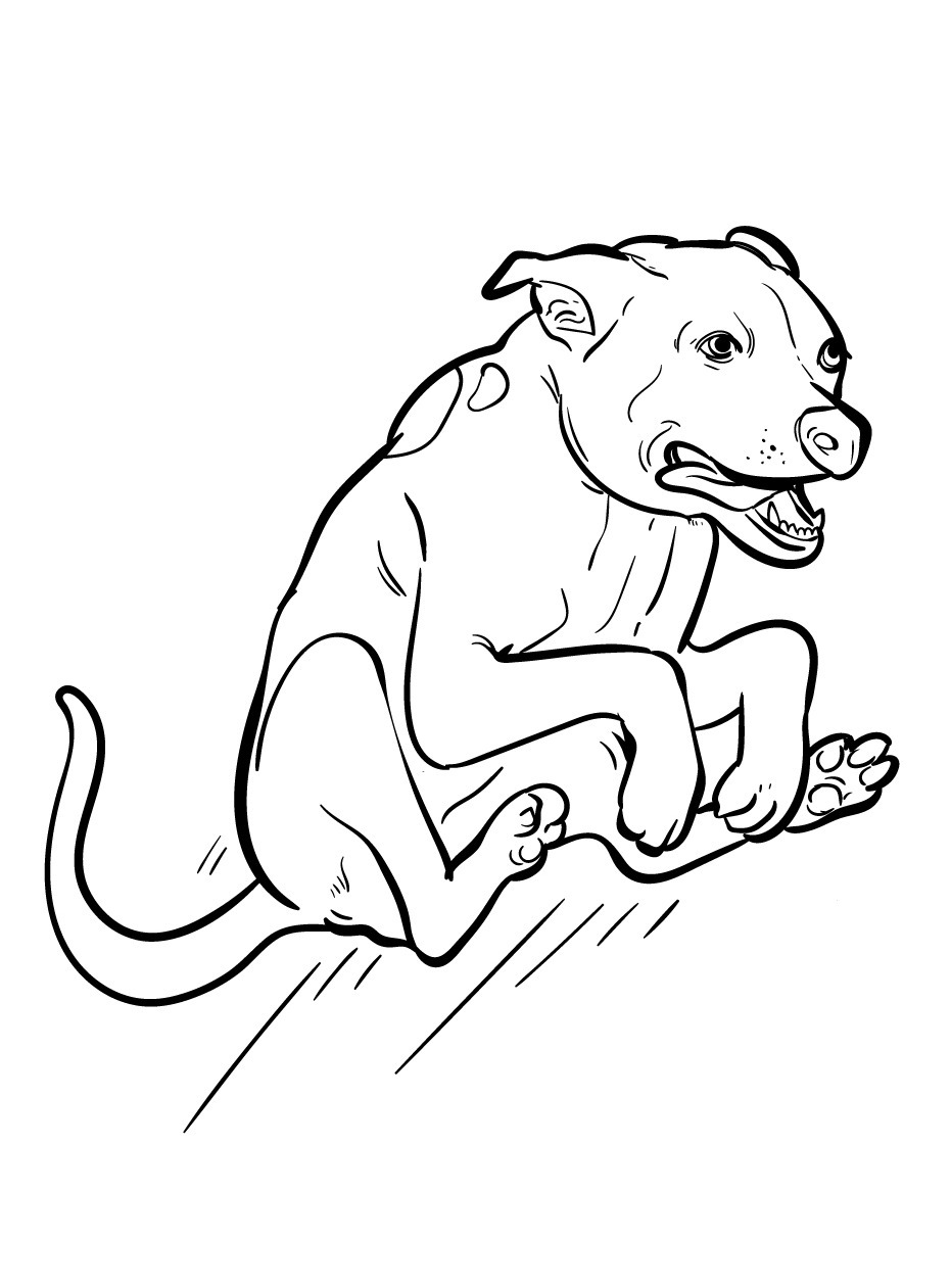 Dog Coloring page (34)