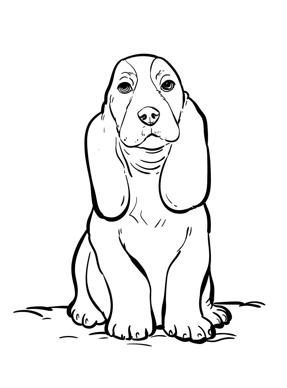 Dog Coloring page (35)