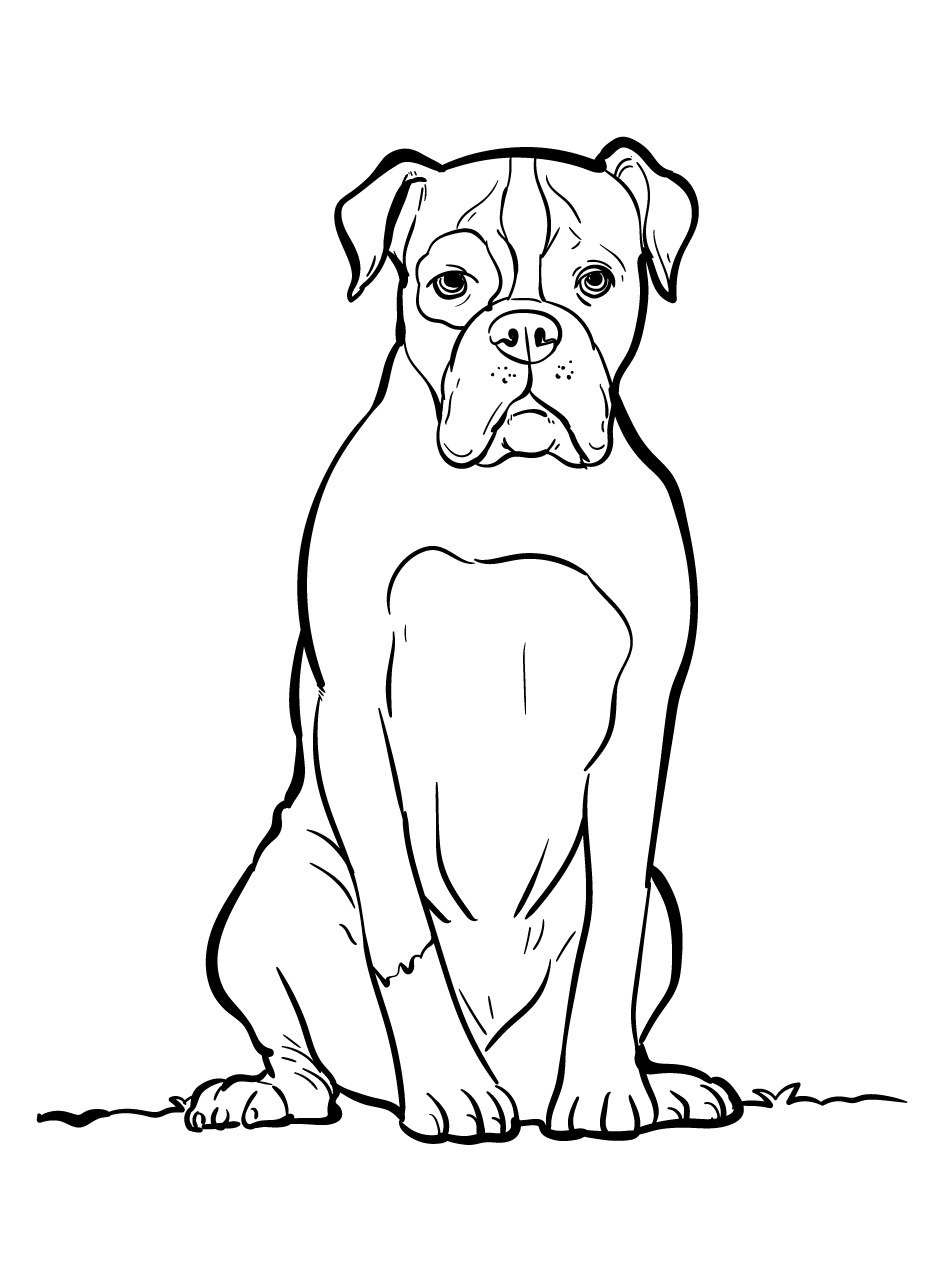 Dog Coloring page (36)