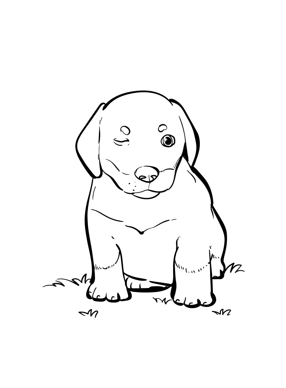 Dog Coloring page (37)