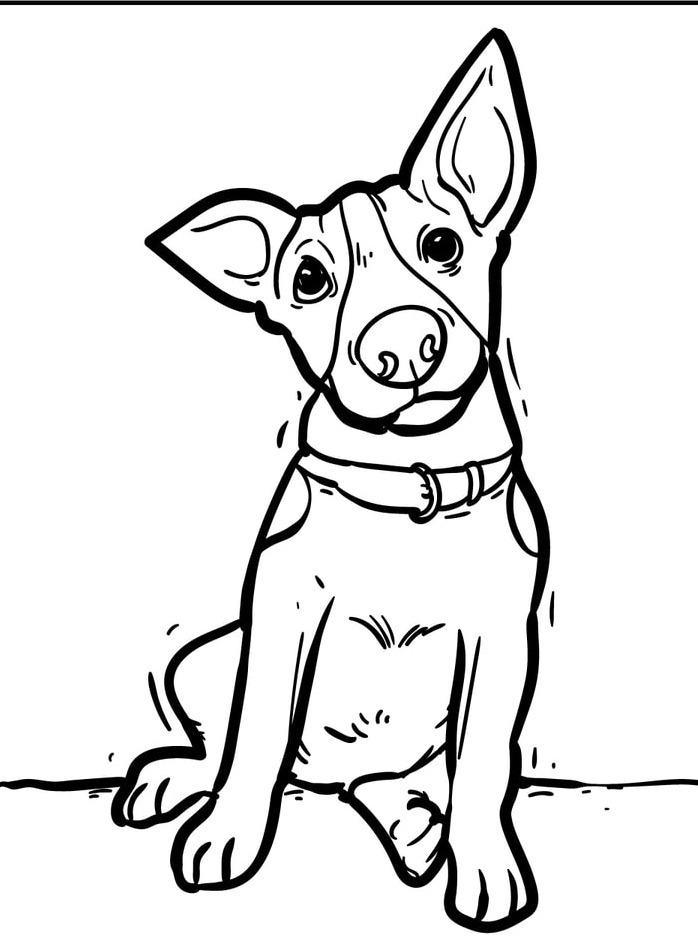 Dog Coloring page (39)