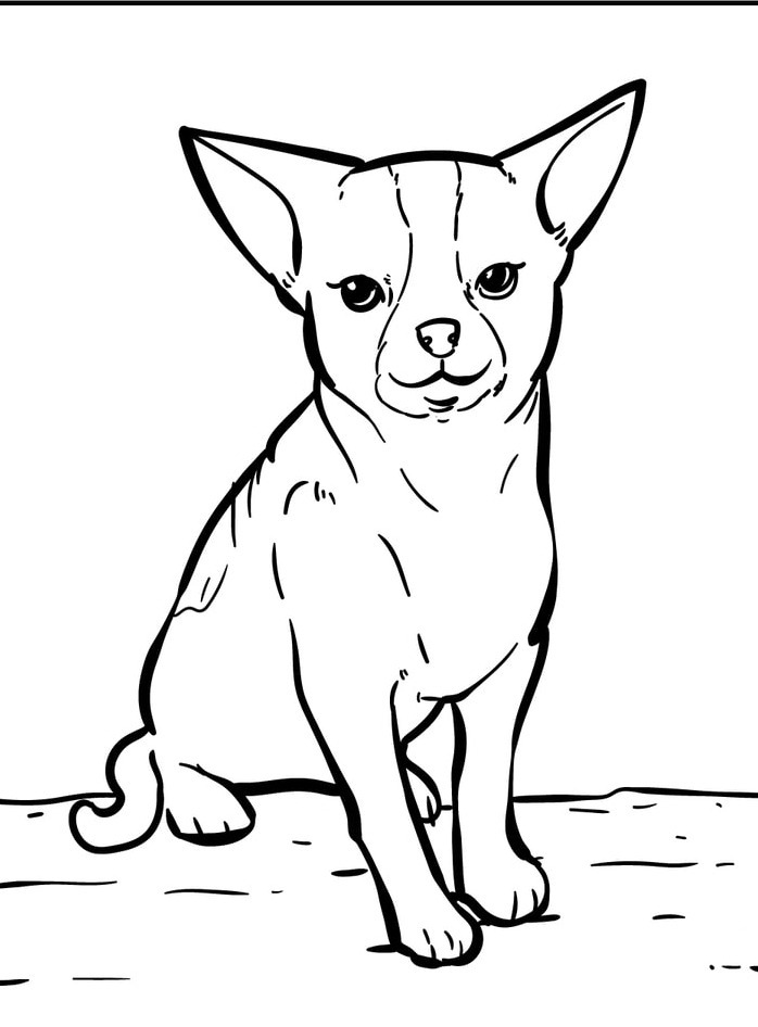 Dog Coloring page (40)